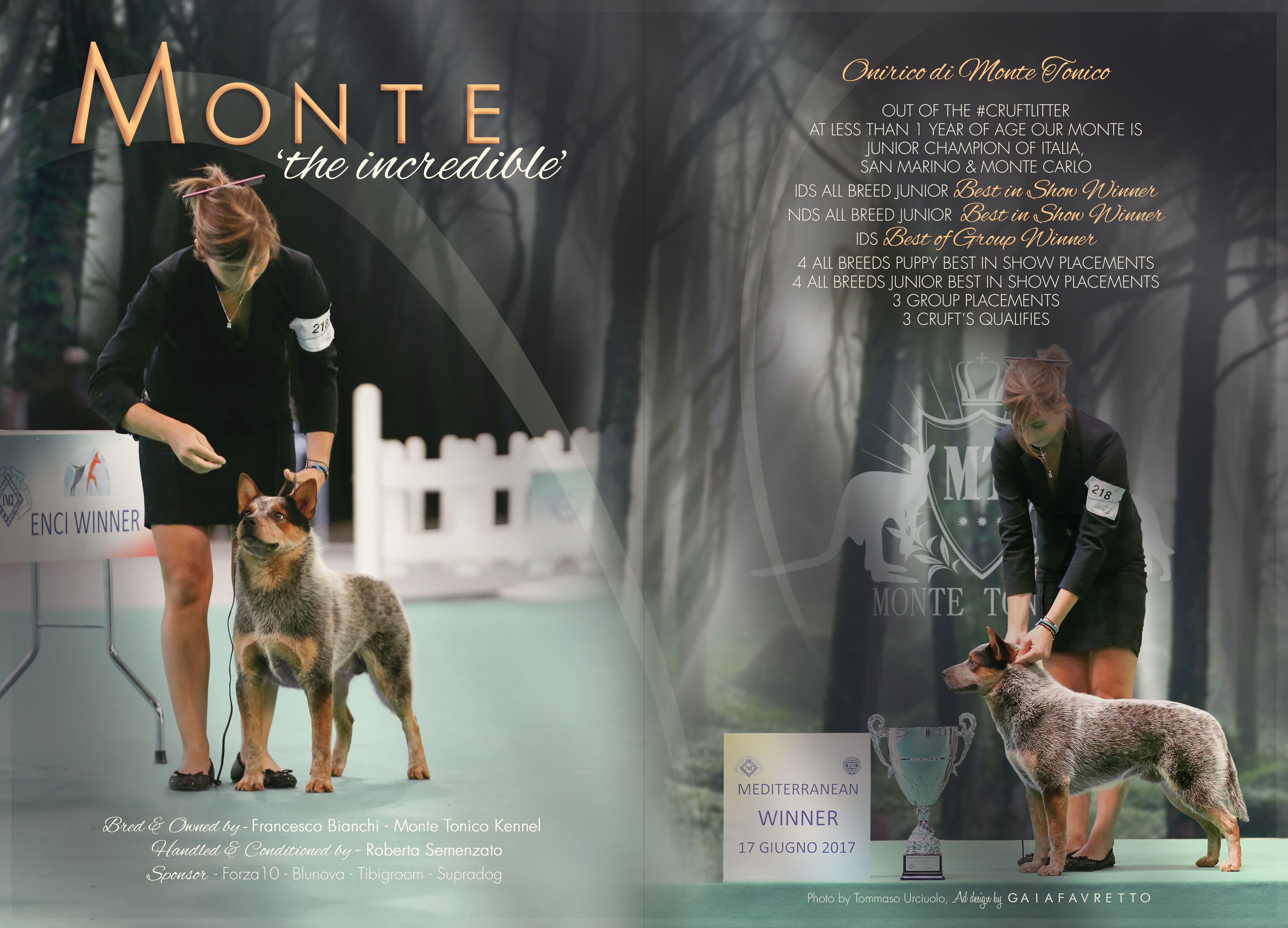 Monte sales tonico kennel
